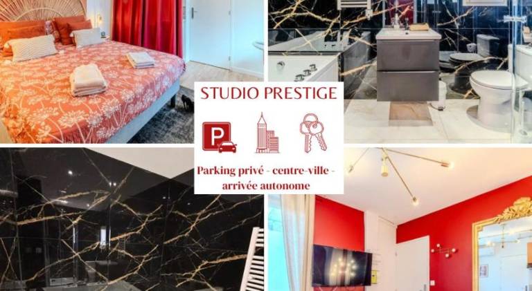 Holiday apartment with jacuzzi in Roanne