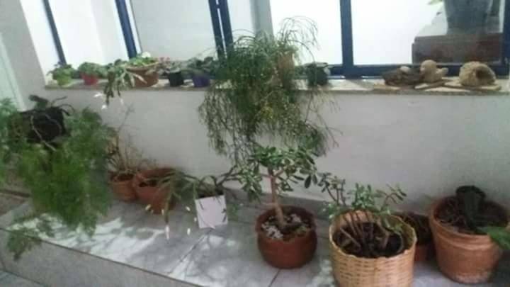 foto34