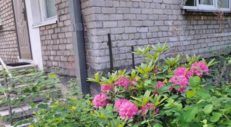 Holiday apartment with 1 room for 3 persons — photo 5