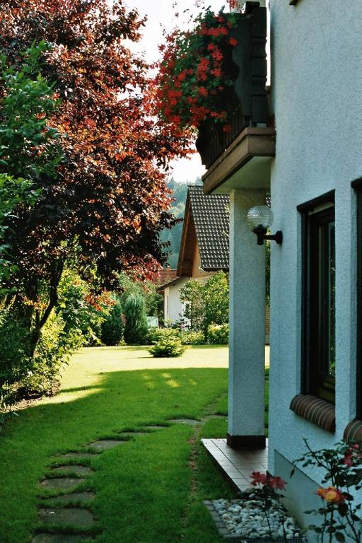 foto7