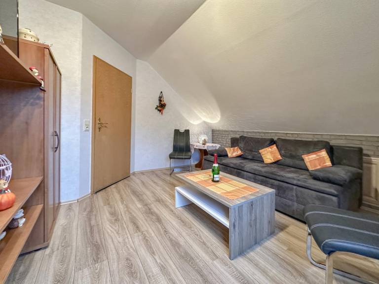 Beautiful holiday apartment with terrace | Pet-friendly in Chemnitz