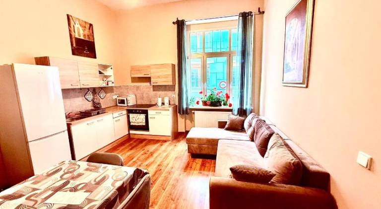 Rental apartment | Suitable for remote work | Dogs allowed in Karlovy Vary