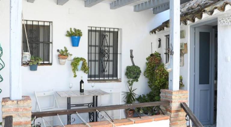 Apartment with terrace | Dogs allowed — photo 4