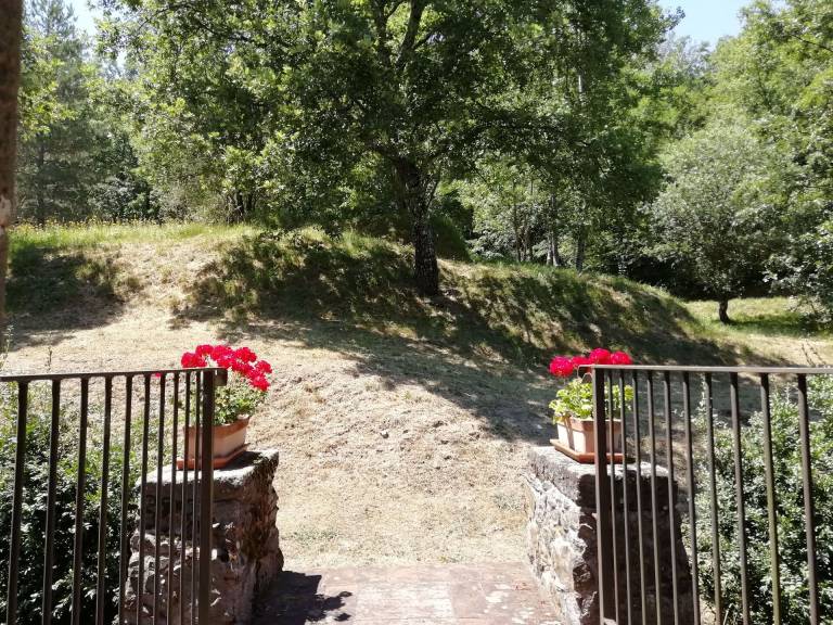 foto23