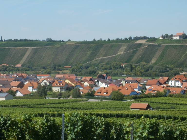 foto11
