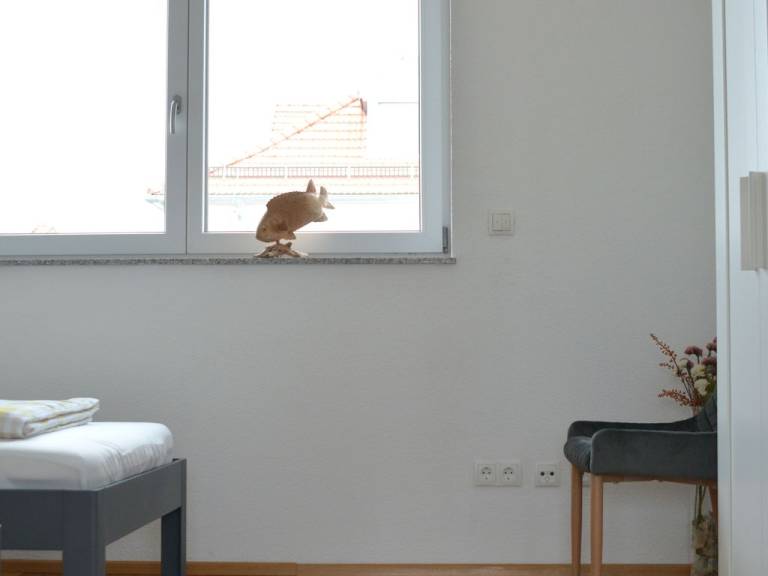 foto33