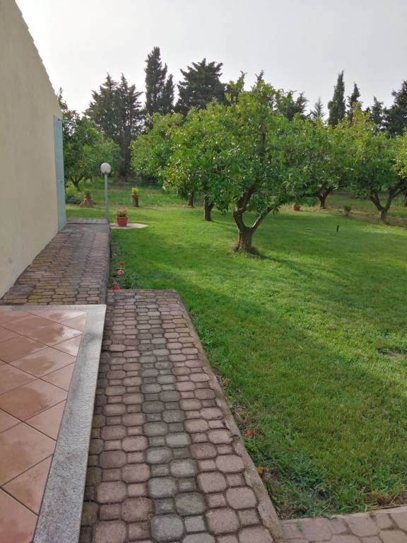 foto17