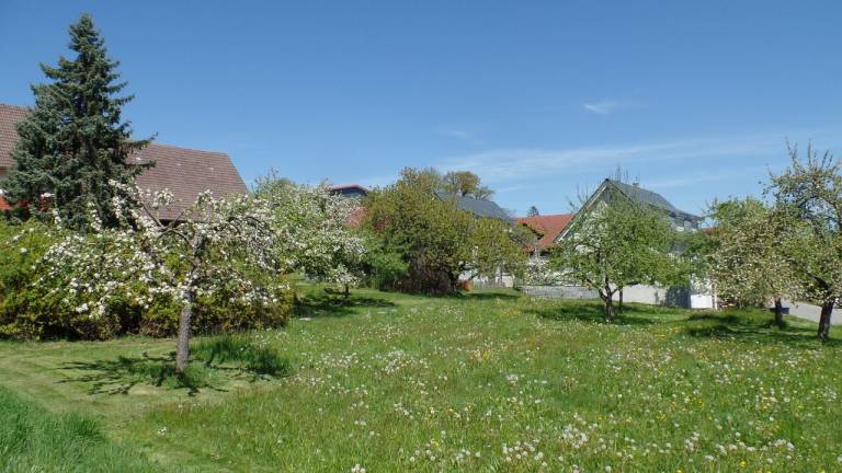 foto19