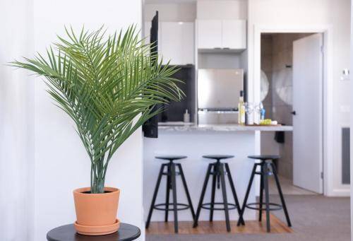 Apartment Mount Martha