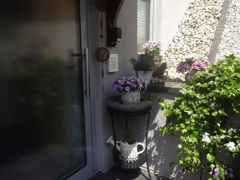 foto14