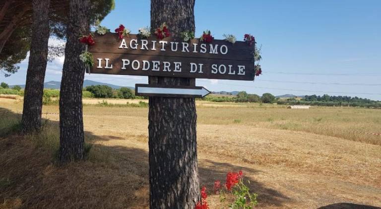 Children-friendly farm with yard, grill & pool | Dogs allowed in Roccastrada