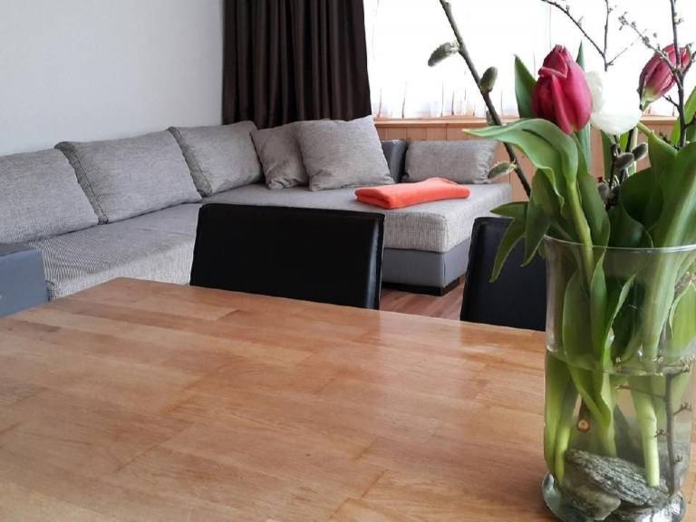 Apartamento Innertkirchen