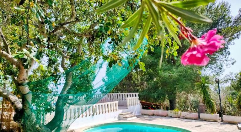 Serviced apartment with pool, barbecue & yard in Salve