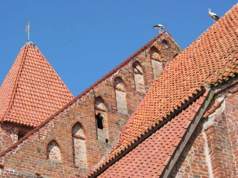 Ferienhaus Nisdorf