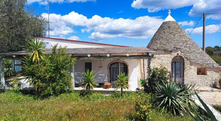 House with pool in Alberobello