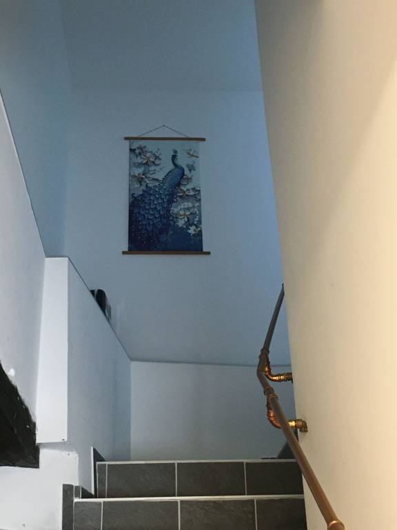 foto11