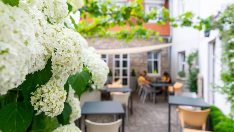 Ferienwohnung  Volkach