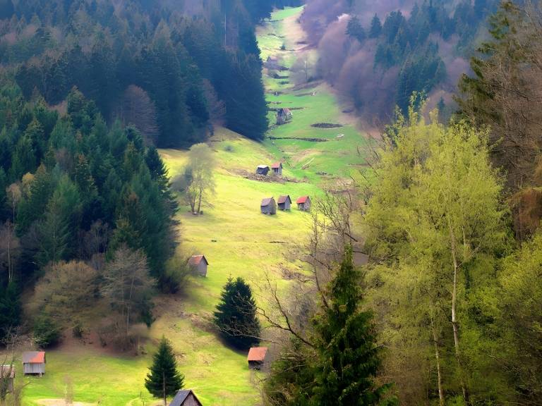 foto21