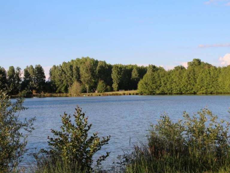 foto17