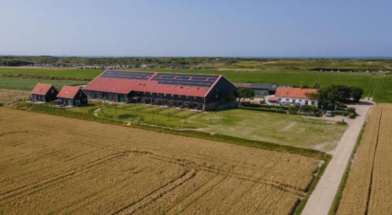 House with yard & patio | Close to the beach | Pet-friendly in Domburg