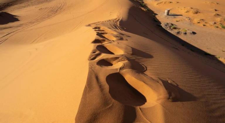 Merzouga Luxury Camp & Activities — photo 5