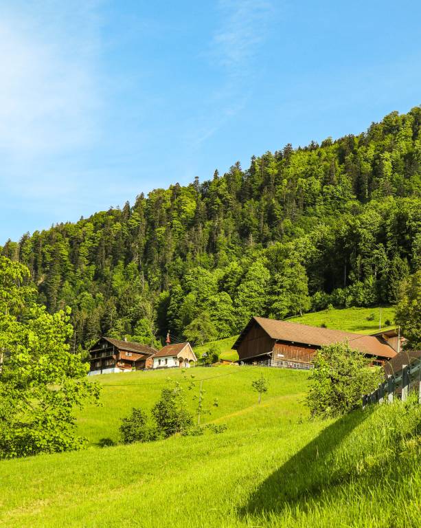 Ferienwohnung in Lauerz, Gersau für max. 5 Personen Ferienwohnung in Lauerz, Gersau für max. 5 Personen