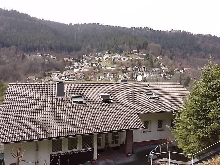Ferienwohnung Bad Wildbad