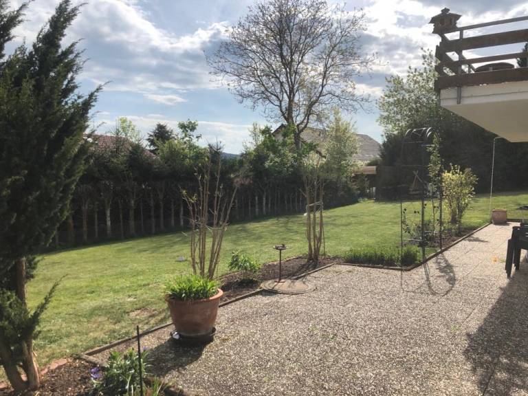 foto11