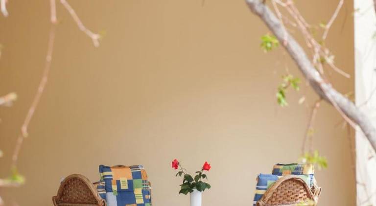 Charming holiday apartment with barbecue, garden & terrace | Close to the beach | Dogs allowed in Tucepi