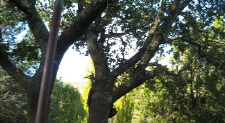 foto15