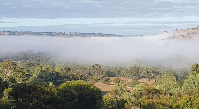Bed and breakfast  Toodyay