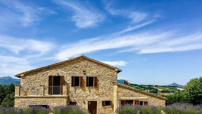 Villa Apiro