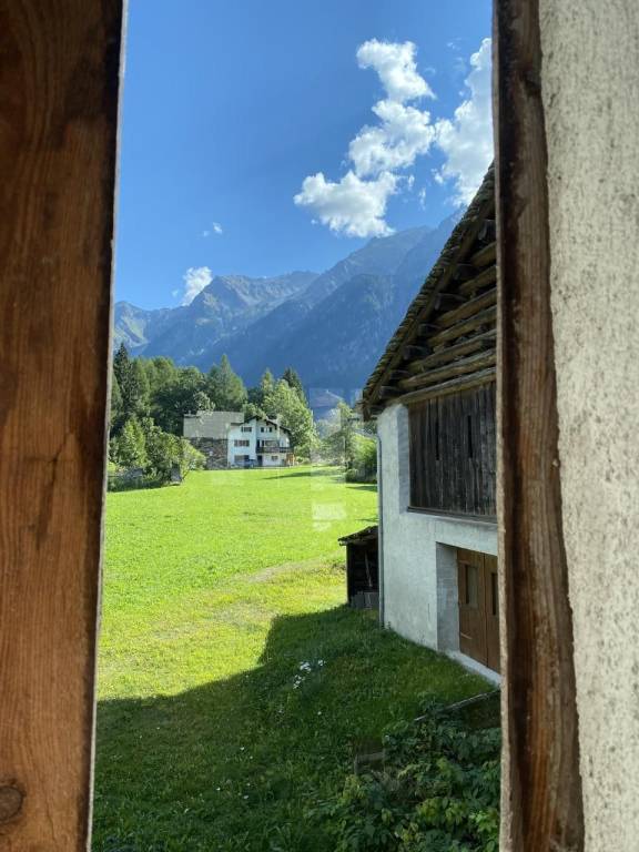 foto11