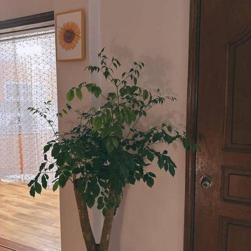 foto6