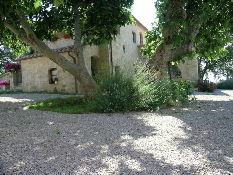 foto41