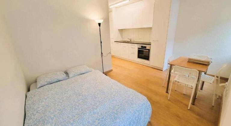 Zurich City Center Apartments next to Zurich HB Main Train Station LA - Self Checkin in Zürich
