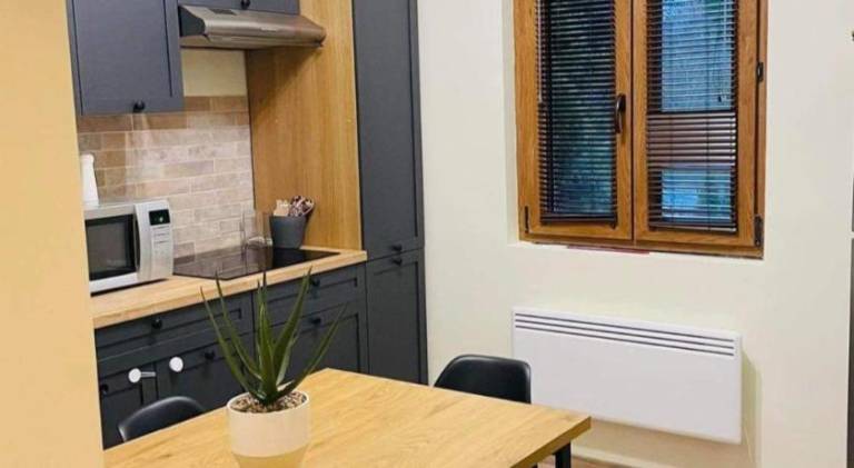 Rental apartment with garden, terrace & grill in Veszprem
