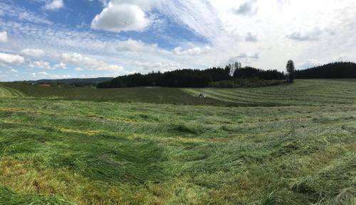 foto13