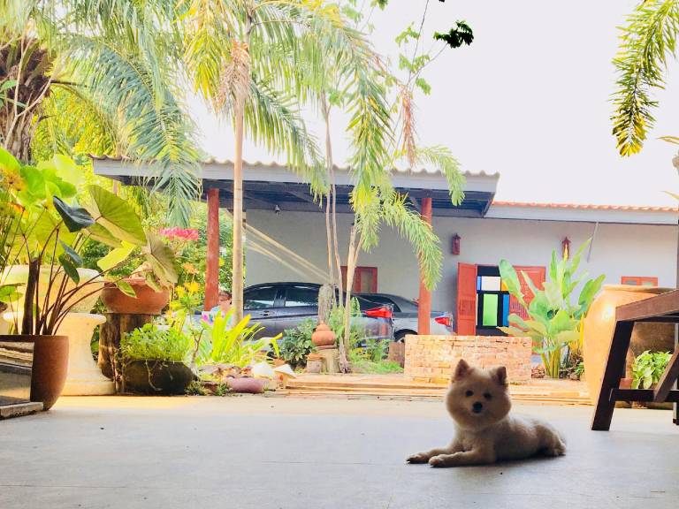 Baan Mali Homestay Lampang in Lampang