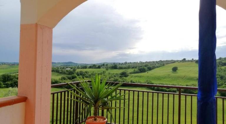 Farm with patio, garden & BBQ — photo 5
