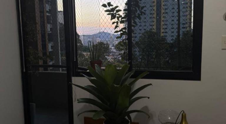 foto29