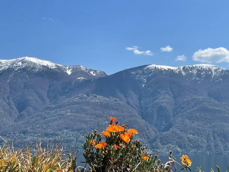 foto13
