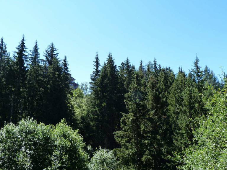 Fully equipped apartment | Mountain view | Ski nearby | Dogs allowed — photo 4