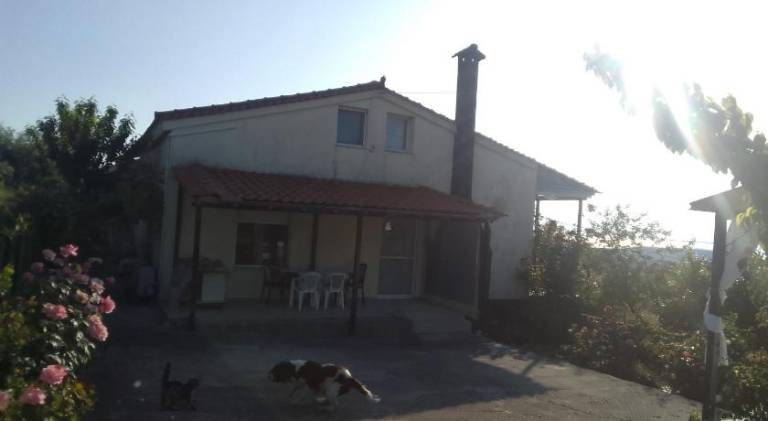 foto16
