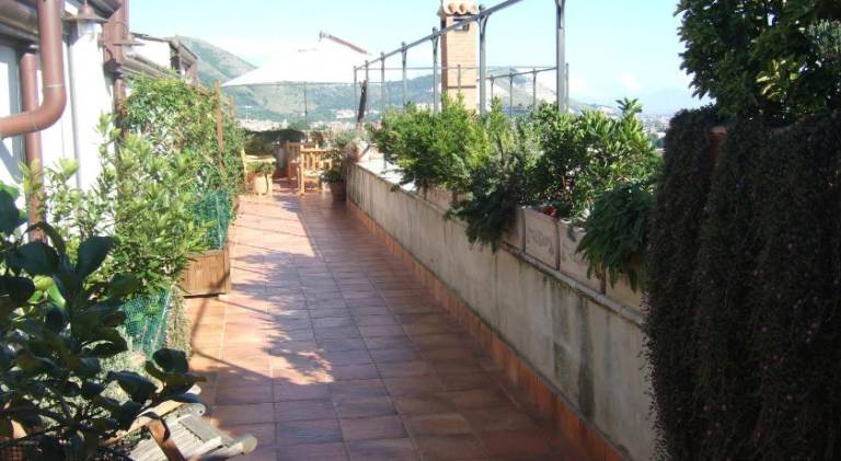 foto19