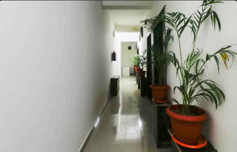 foto11