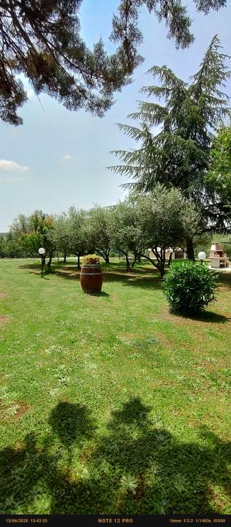 foto14