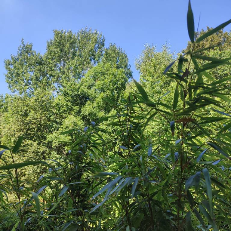 foto15
