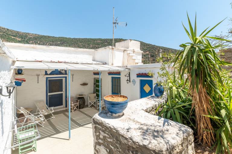 Vacation home with garden & patio | Garden view in Andros
