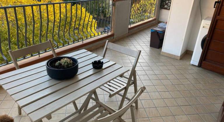Holiday apartment | Pets are welcome — photo 2